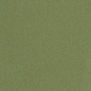 May include: A solid green textured background.