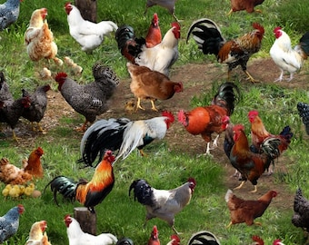 Farm Animals - Chickens HALF YARD 354-GRE by Elizabeth&#39;s Studio 100% Cotton Quilting Fabric