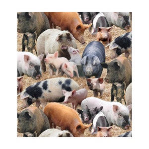 Farm Animals - HALF YARD Pigs 431-BRO by Elizabeth&#39;s Studio 100% Cotton Quilting Fabric