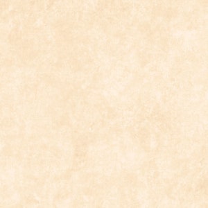May include: A plain, off-white textured background with a subtle, faded, mottled pattern.