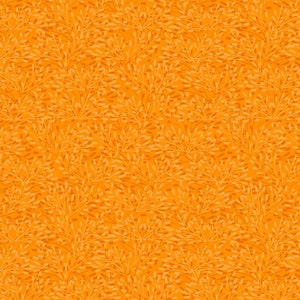 Whimsy HALF YARD Orange 75509-888 by Wilmington Prints 100% Cotton Quilting Fabric