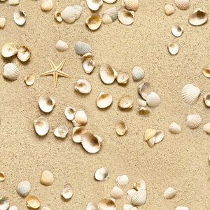 May include: A collection of seashells of various shapes and sizes scattered on a sandy beach. The shells are a mix of white and beige colors, and some have a slight pink hue. A starfish is also visible in the center of the image.