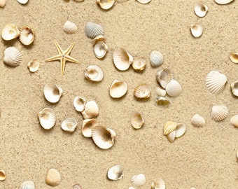 Sand & Shells 555-SAN by Elizabeth's Studio 100% Cotton Quilting Fabric Yardage