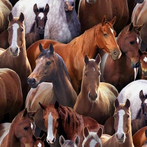 Packed Horses HALF YARD 433-BLA Elizabeth&#39;s Studio 100% Cotton Quilting Fabric