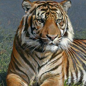 Tiger Panel 3325-2C by Four Seasons / David Textiles 100% Cotton Fabric Panel