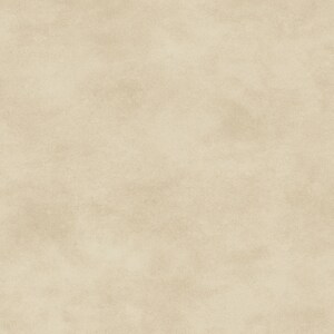 May include: A seamless, textured background in a light beige color. The surface has a subtle, mottled appearance, creating a soft, neutral backdrop. The overall effect is a warm, inviting texture.