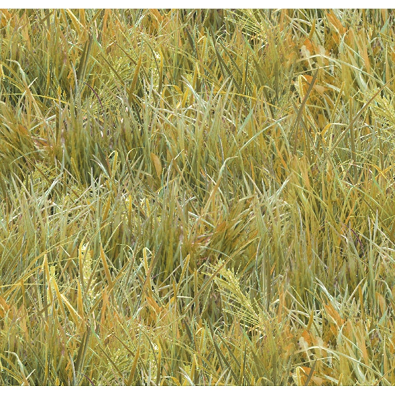 Light Green 250-LIG by Elizabeth/'s Studio 100/% Cotton Quilting Fabric Yardage Prairie Grass