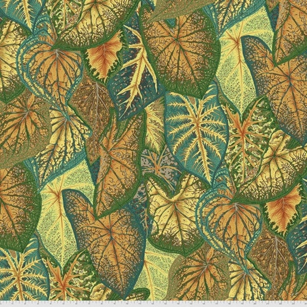 Kaffe Fassett Caladiums Gold PJ108.GOLD by Philip Jacobs / FreeSpirit 100% Cotton Quilting Fabric Yardage