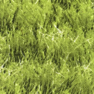 May include: A close-up of a green fabric with a textured, woven pattern. The fabric has a mottled, faded appearance, with areas of darker and lighter green.
