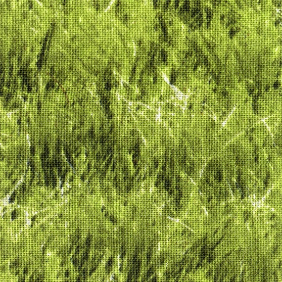 Light Green 250-LIG by Elizabeth/'s Studio 100/% Cotton Quilting Fabric Yardage Prairie Grass