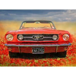May include: A classic red 1964 1/2 Ford Mustang convertible, viewed head-on. The car has a chrome grill with the Mustang emblem, round headlights, and a license plate that reads "FNA 295C". The car is set against a backdrop of red flowers.