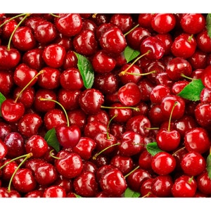 Food Festival HALF YARD Cherries 577-RED by Elizabeth&#39;s Studio 100% Cotton Quilting Fabric