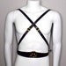 see more listings in the Leather Harnesses section