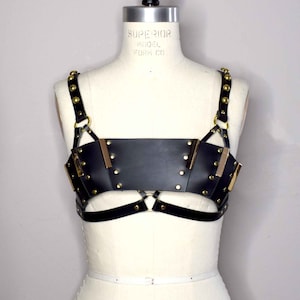 Morgana Paneled Leather Bra Top with Bandeau Style, Harness Straps and Gold Bar Details