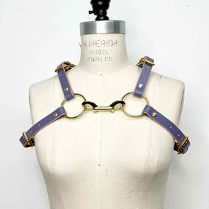 Puede incluir: Un arnés de cuero lavanda con herrajes metálicos dorados. El arnés presenta correas ajustables, anillos circulares y un cierre de conexión. El producto se exhibe en un maniquí.