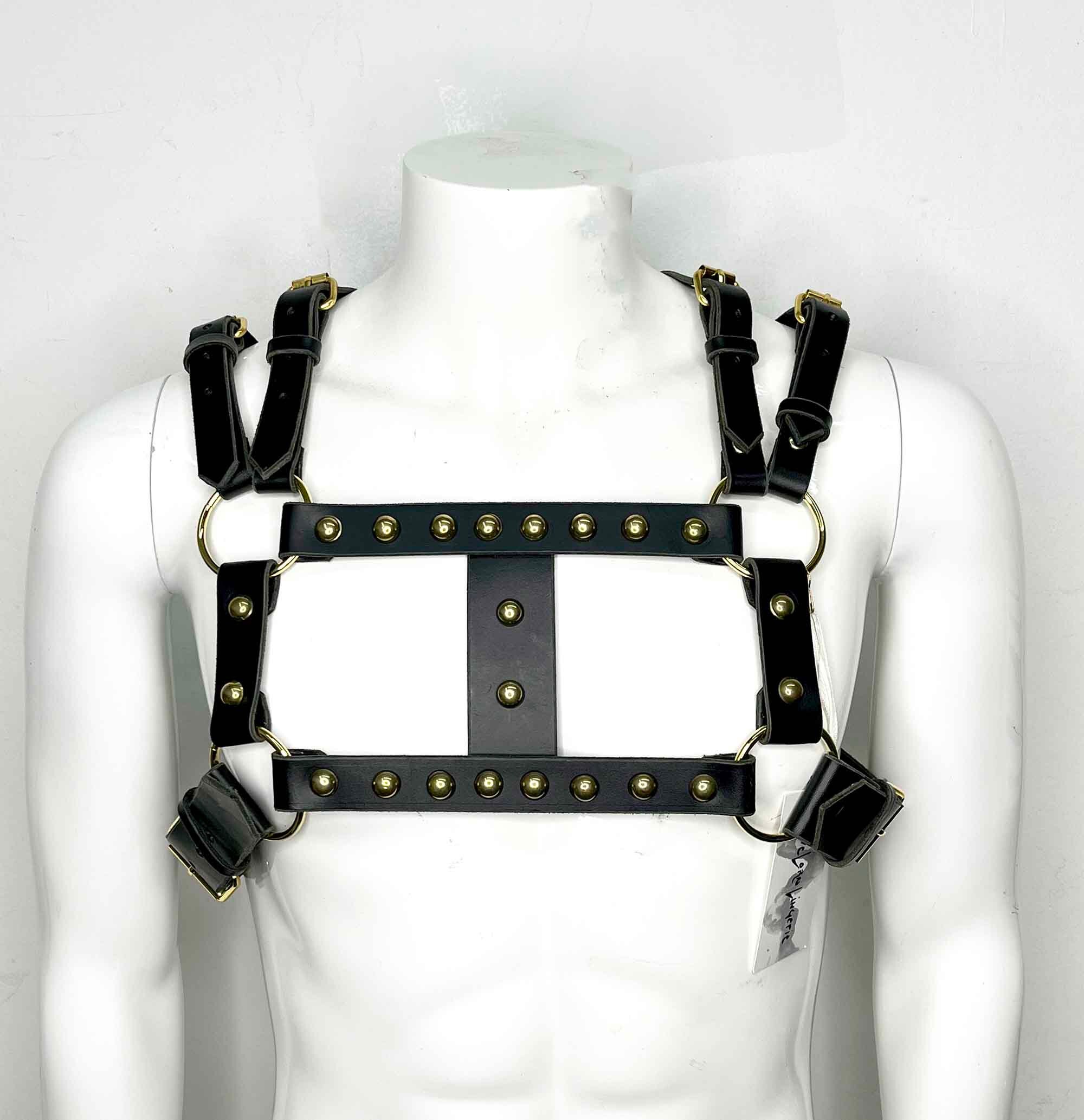 Dovan Masc Studded Black Leather Chest Harness, Bull Dog  display picture 1