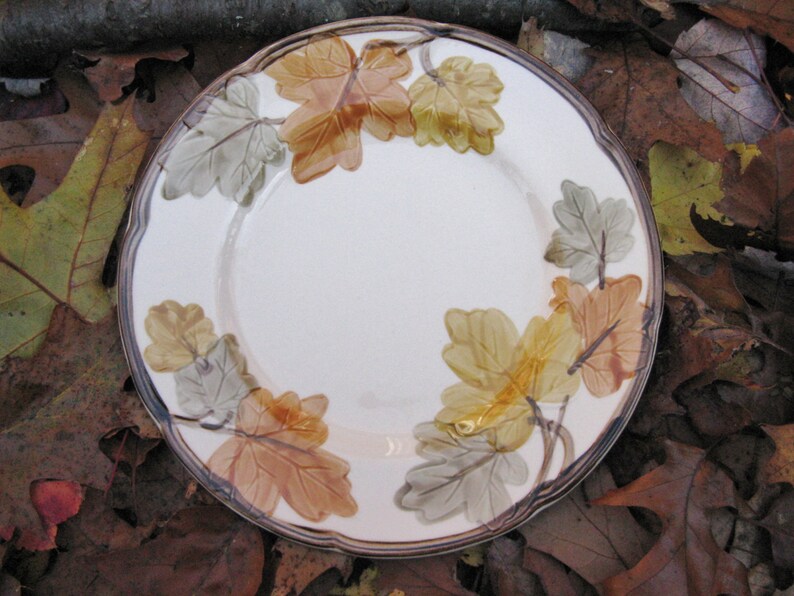 Franciscan Ware October Pattern 8 Inch Etsy
