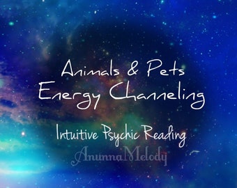 Energy Channeling For Animals & Pets, In Depth Pet Reading, Same Day Reading, Animal Communication