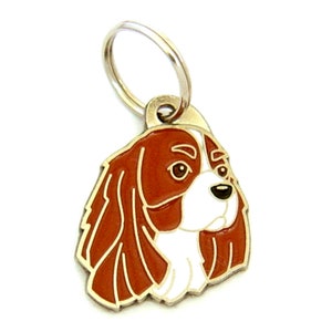 Hundemarke mit gravur CAVALIER KING CHARLES spaniel