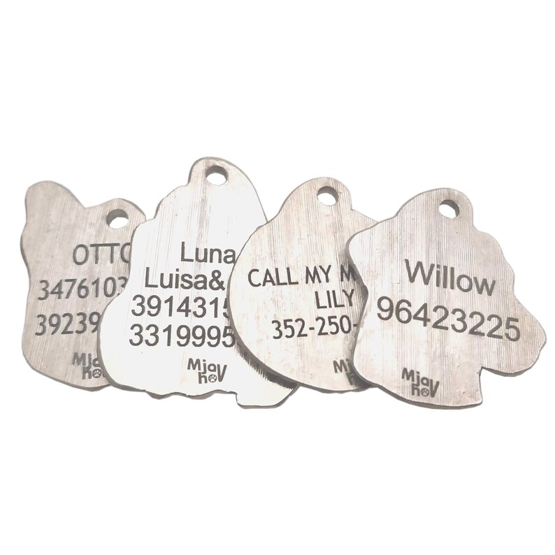 May include: Four silver dog tags with engraved names and phone numbers. The tags are shaped like dog heads and have a brushed metal finish. The names on the tags are Otto, Luna, Willow, and Call My Mom Lily. The phone numbers are 3476107, 3914314, 96423225, and 352-250-.