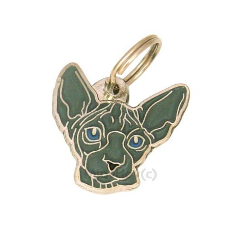 May include: A silver cat charm with a green and black Sphynx cat design. The cat has blue eyes and a gold ring attached to the top.