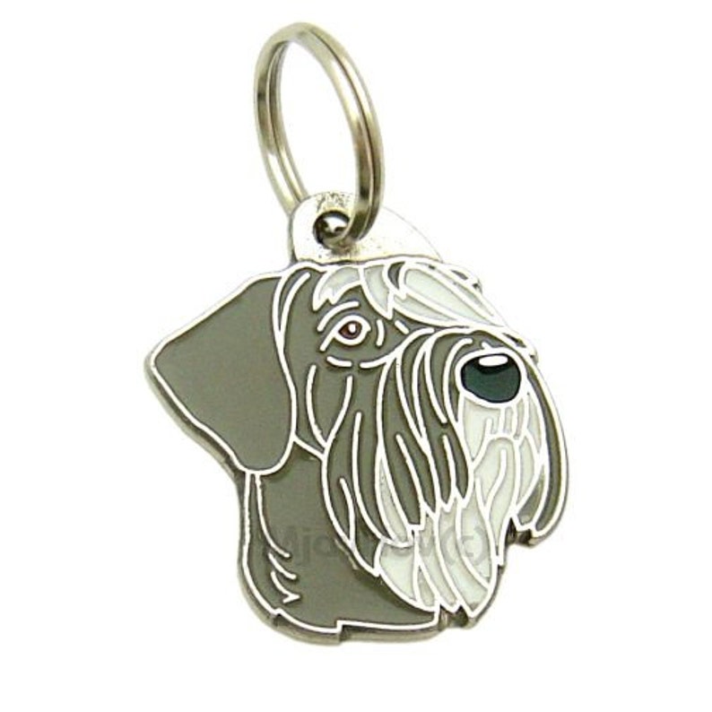 May include: Silver dog tag with a grey and white Schnauzer head, with a silver ring attached.