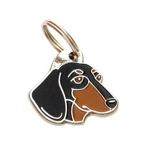 Personalised, stainless steel, breed pet tag, Dachshund