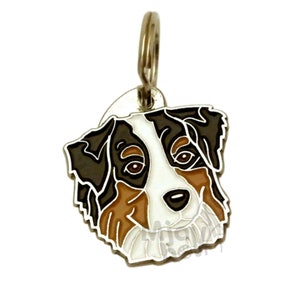 ID pet tag Australian shepherd, MjavHov