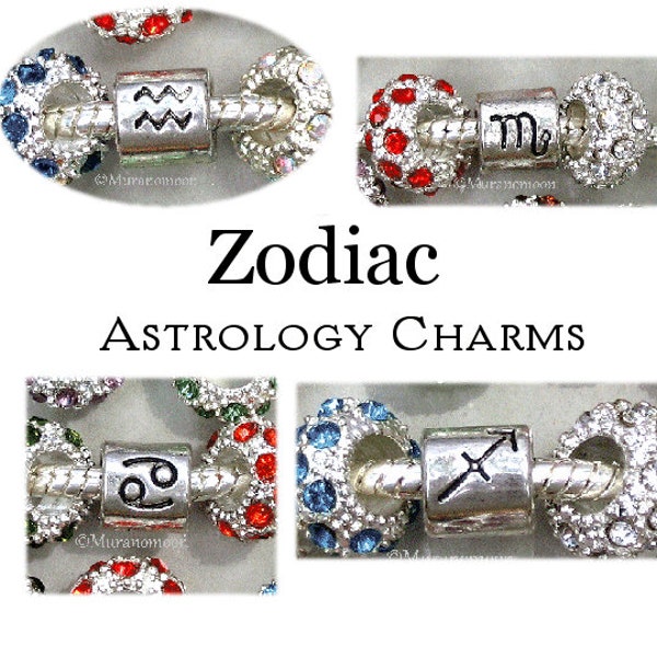 Zodiac Charm Bracelet Charm Sagittarius Scorpio Cancer Aquarius Charm Bead Large Hole Fit Bracelet Personalize Birthstone Crystal
