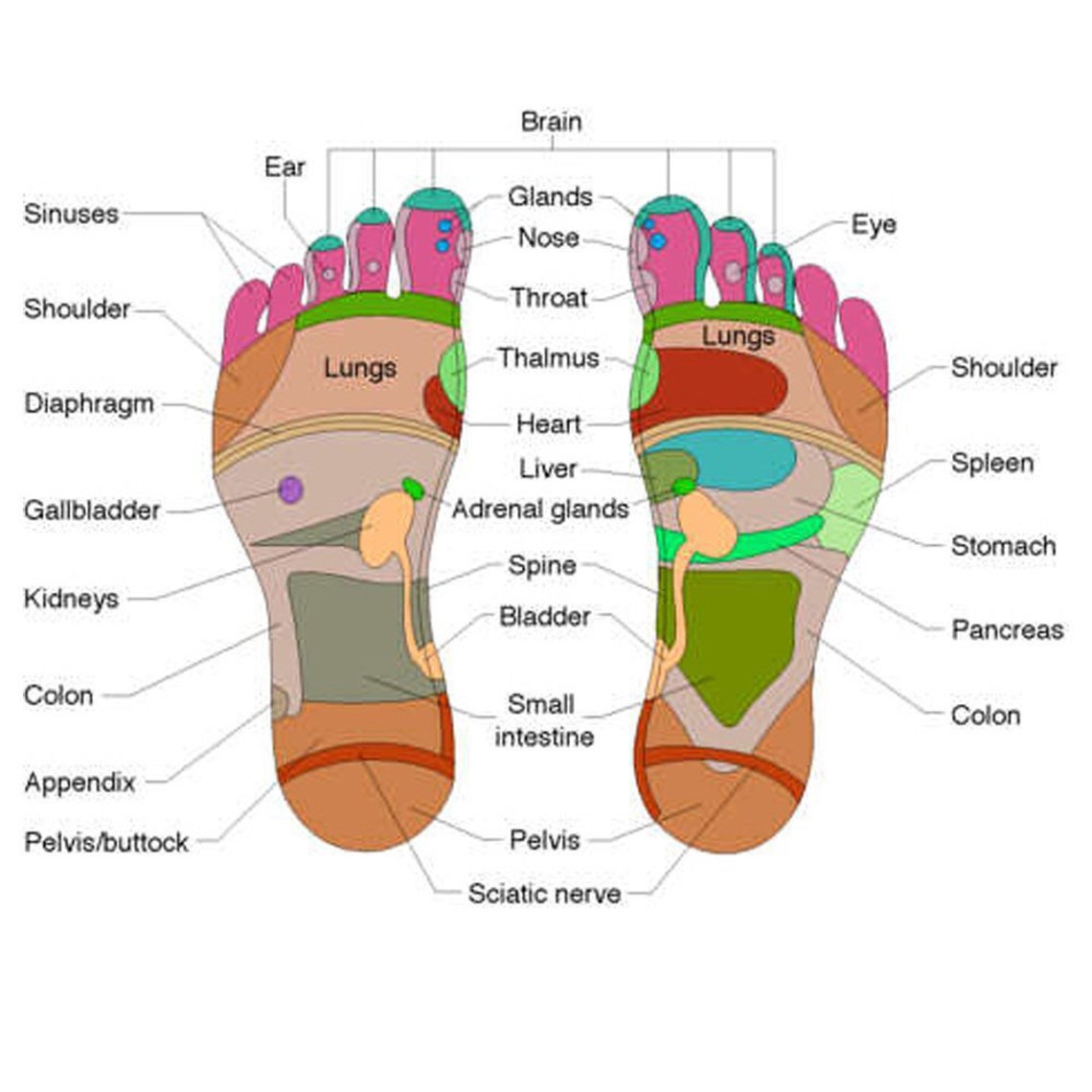 Set C 5 Piece Hand Massage Tool Rosewood Wooden Self Massage Etsy