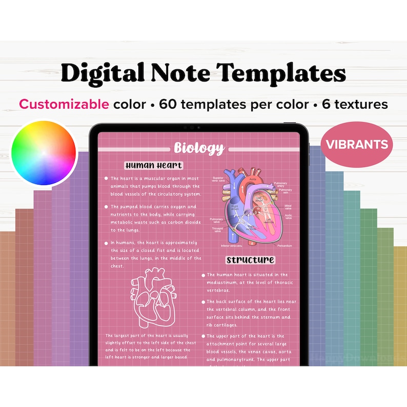 May include: A digital note template with a pink background and a diagram of the human heart. The text "Biology" is at the top of the page and the text "Human Heart" is below it. The diagram shows the different parts of the heart, including the aorta, pulmonary trunk, and vena cava. The text "Structure" is below the diagram and describes the location and function of the heart.