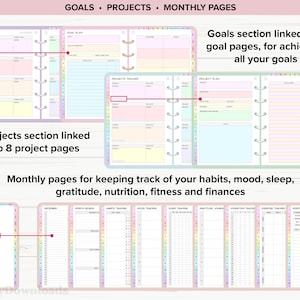 May include: A pink and white planner with sections for goals, projects, and monthly pages. The planner has a rainbow design and includes trackers for habits, mood, sleep, gratitude, nutrition, fitness, and finances.