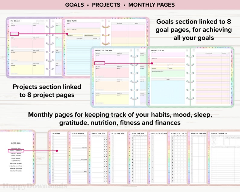 May include: A pink and white planner with sections for goals, projects, and monthly pages. The planner has a rainbow design and includes trackers for habits, mood, sleep, gratitude, nutrition, fitness, and finances.