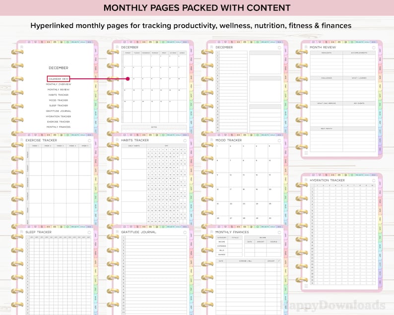 Pu&ograve; includere: Un planner con pagine mensili per il monitoraggio di produttivit&agrave;, benessere, nutrizione, fitness e finanze. Le pagine includono una visualizzazione del calendario, revisione mensile, monitoraggio delle abitudini, monitoraggio dell'umore, ecc. Il planner ha un bordo rosa e arcobaleno pastello.