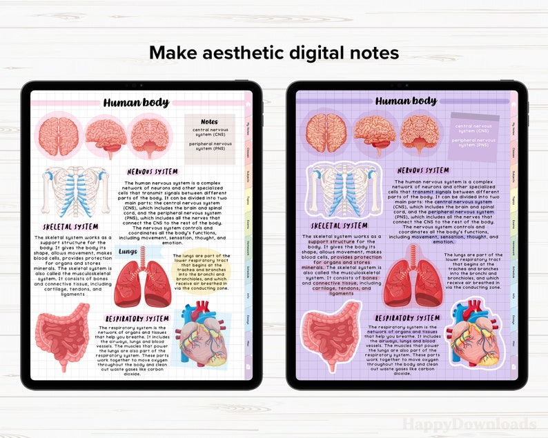 Portrait Digital Notebook with Tabs, Goodnotes Notebook, Student Notebook, Digital Notebooks, Digital Notes Templates, Notability Notebook image 3