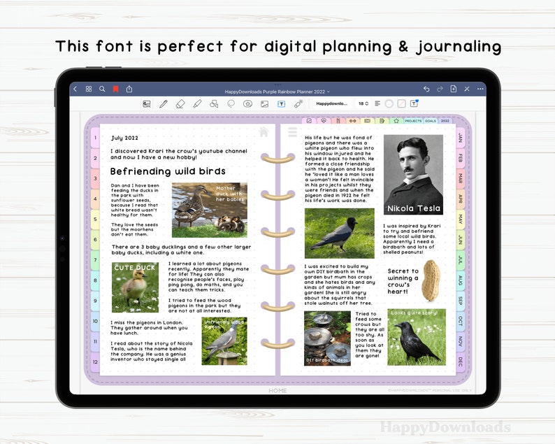 May include: A purple and white digital planner with a monthly calendar and a page about befriending wild birds. The page includes illustrations of ducks, pigeons, and crows. The text on the page reads "Befriending wild birds" and "Secret to winning a crow's heart!"