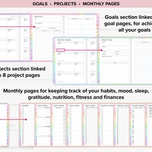 May include: A planner with a rainbow design. The planner has sections for goals, projects, and monthly pages. The planner includes pages for tracking habits, mood, sleep, gratitude, nutrition, fitness, and finances.