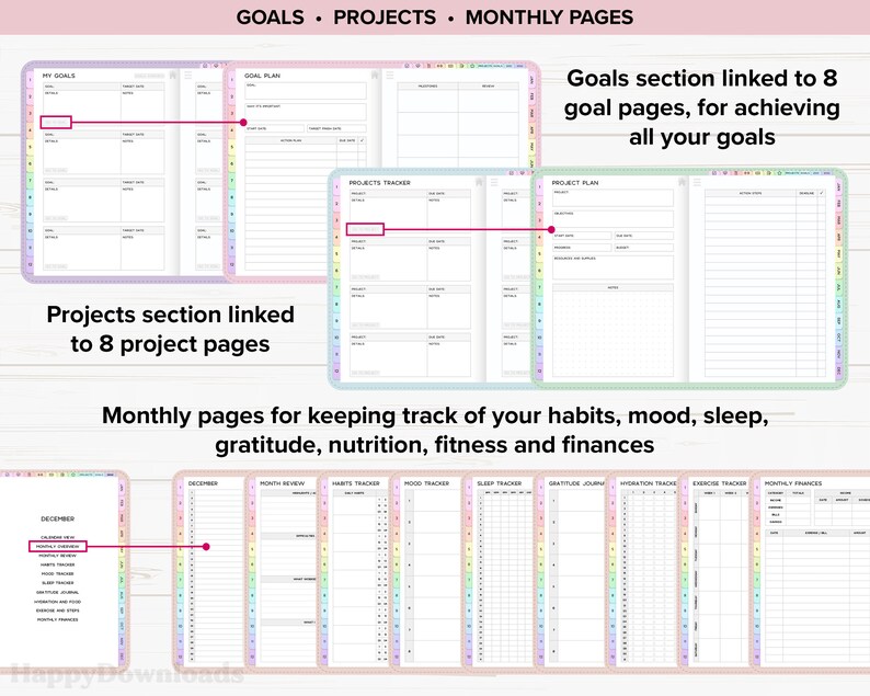 May include: A planner with a rainbow design. The planner has sections for goals, projects, and monthly pages. The planner includes pages for tracking habits, mood, sleep, gratitude, nutrition, fitness, and finances.