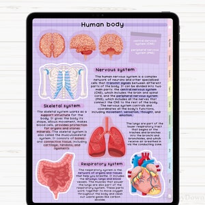May include: An illustrated diagram of the human body, showing the skeletal, nervous, respiratory, and circulatory systems. The diagram is labeled with the names of each system and includes a brief description of each system's function.