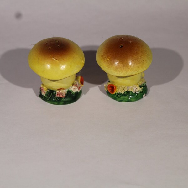 Mushroom Salt and Pepper Shakers Etsy