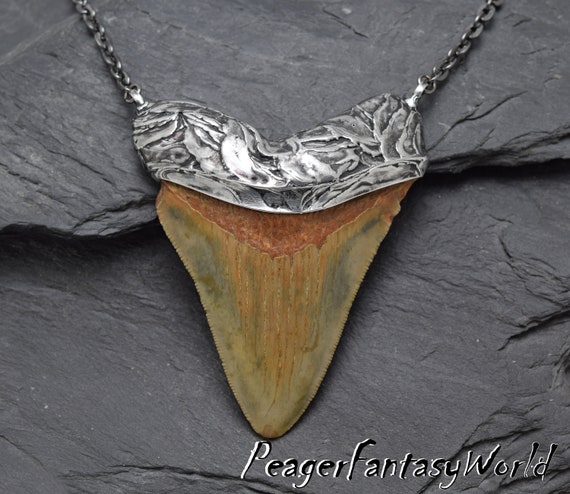 Megalodon silver PendantShark tooth fossilsWitch | Etsy