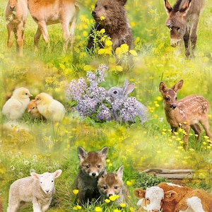 Hoffman Fabrics Sun Up to Sun Down Baby Animals Cotton Fabric T4891-145-Spring