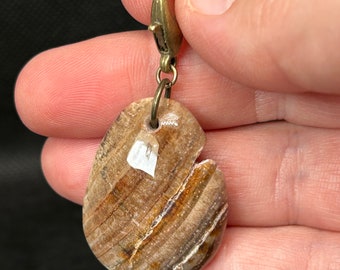 Montana Yellowstone River Petrified Wood