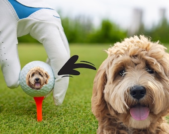 May include: A white golf ball with a brown and white dog's face printed on it. The golf ball is on a tee and being held by a gloved hand. A brown and white dog with a pink tongue is looking at the camera.