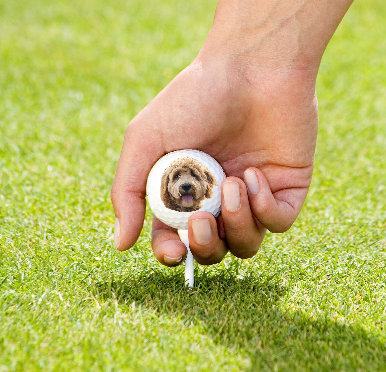 Your face on a golf ball set of 3 Custom golf balls Your Etsy