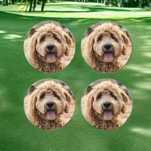 May include: Four round golf ball markers with a picture of a brown and white dog with its tongue sticking out.