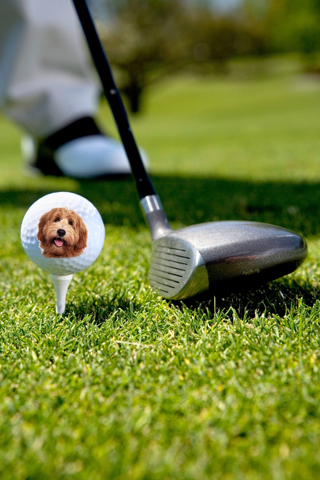 DOG DAD GIFT Your Dog's Face on a Golf Ball, Golf Balls With Your Photo