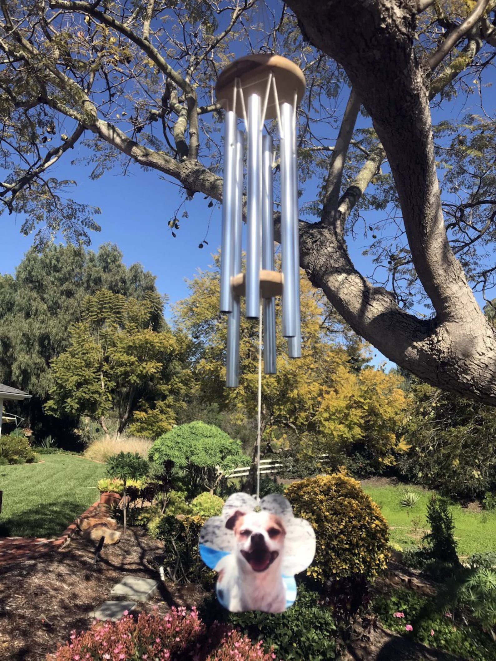 Pet Memorial Wind Chime photo wind chimes Gift After Loss Etsy