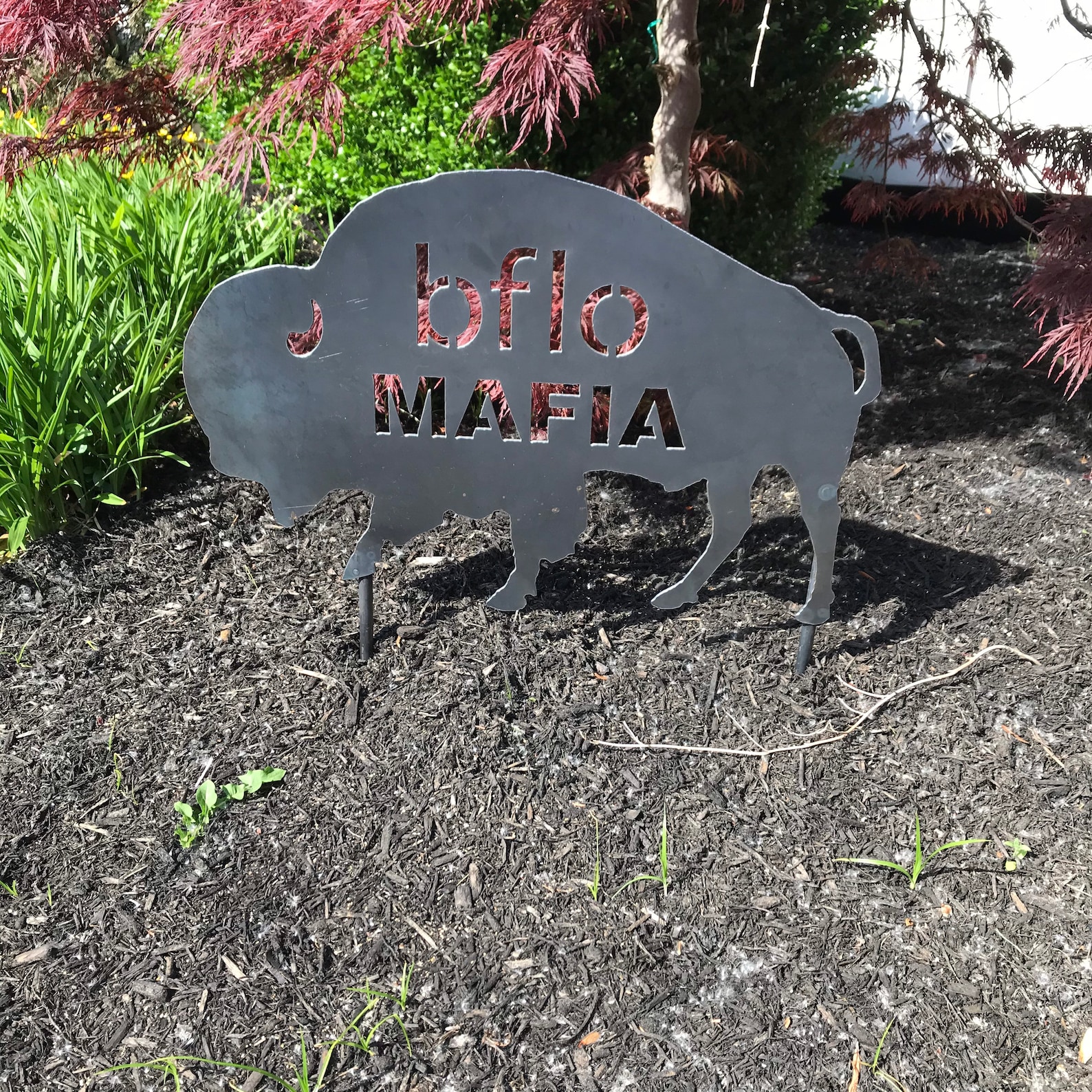 Jumbo Steel Buffalo Lawn Ornament / Lets Go Buffalo / Garden Etsy