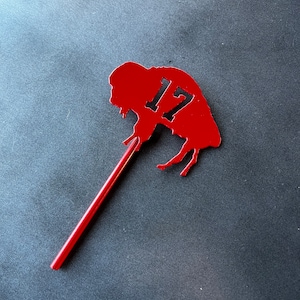 May include: Red metal buffalo silhouette with the number 17 cut out, attached to a red stick.
